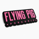 Parches velcro FLYING PIG
